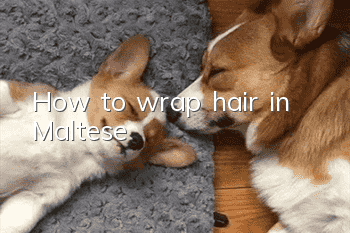 How to wrap hair in Maltese