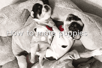 How to mate puppies