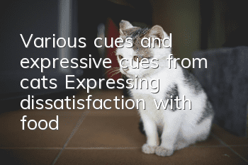 Various cues and expressive cues from cats: Expressing dissatisfaction with food