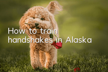 How to train handshakes in Alaska