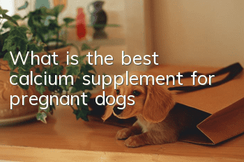 What is the best calcium supplement for pregnant dogs?