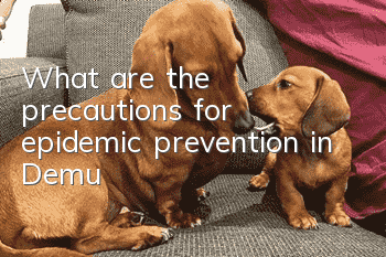 What are the precautions for epidemic prevention in Demu?