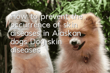 How to prevent the occurrence of skin diseases in Alaskan dogs? Dog skin diseases!