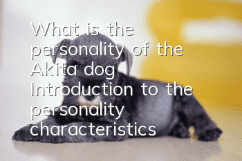 What is the personality of the Akita dog? Introduction to the personality characteristics of the Akita dog