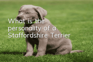 What is the personality of a Staffordshire Terrier?
