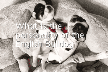 What is the personality of the English Bulldog?