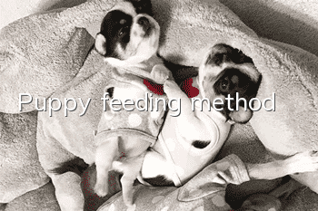 Puppy feeding method