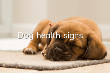 Dog health signs