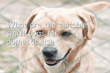 What are the suitable small dogs for domestic use?