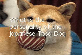 What is the personality of the Japanese Tosa Dog?