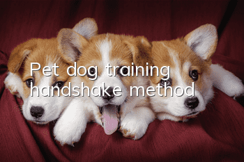 Pet dog training handshake method