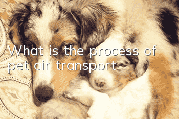 What is the process of pet air transport?