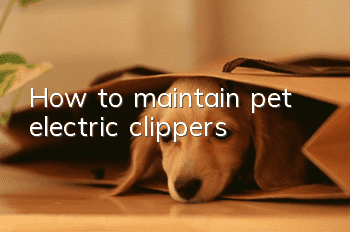 How to maintain pet electric clippers