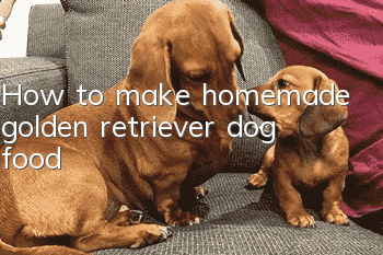 How to make homemade golden retriever dog food