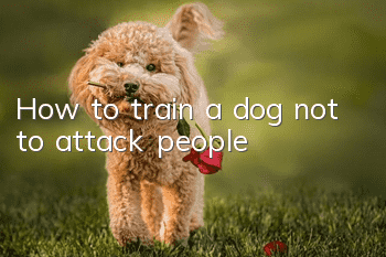 How to train a dog not to attack people