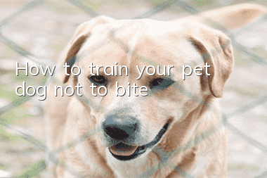 How to train your pet dog not to bite