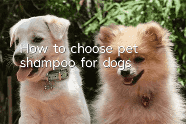 How to choose pet shampoo for dogs