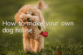 How to make your own dog house