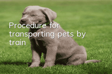 Procedure for transporting pets by train