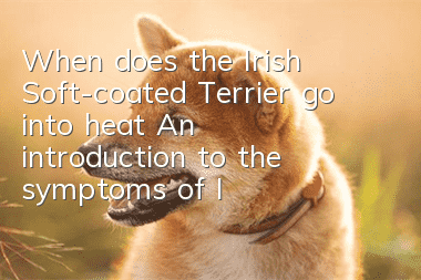 When does the Irish Soft-coated Terrier go into heat? An introduction to the symptoms of Irish Soft-coated Terrier going into heat
