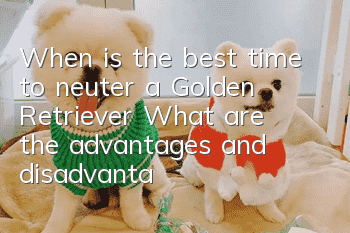 When is the best time to neuter a Golden Retriever? What are the advantages and disadvantages of neutering a Golden Retriever?