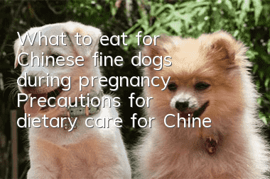What to eat for Chinese fine dogs during pregnancy? Precautions for dietary care for Chinese fine dogs during pregnancy