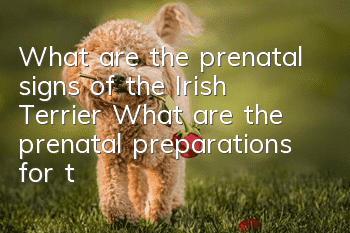 What are the prenatal signs of the Irish Terrier? What are the prenatal preparations for the Irish Terrier?