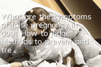 What are the symptoms of false pregnancy in dogs? How to judge? Methods to prevent and treat false pregnancy in dogs