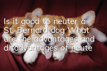 Is it good to neuter a St. Bernard dog? What are the advantages and disadvantages of neutering a St. Bernard dog?
