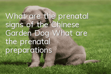 What are the prenatal signs of the Chinese Garden Dog? What are the prenatal preparations for the Chinese Garden Dog?