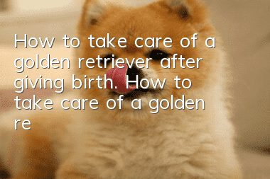 How to take care of a golden retriever after giving birth. How to take care of a golden retriever after giving birth.