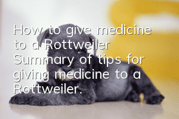 How to give medicine to a Rottweiler? Summary of tips for giving medicine to a Rottweiler.