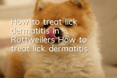 How to treat lick dermatitis in Rottweilers How to treat lick dermatitis