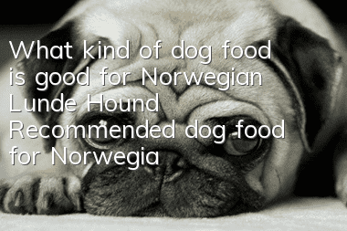 What kind of dog food is good for Norwegian Lunde Hound? Recommended dog food for Norwegian Lunde Hound