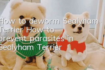 How to deworm Sealyham Terrier? How to prevent parasites in Sealyham Terrier?
