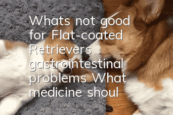 What's not good for Flat-coated Retrievers' gastrointestinal problems? What medicine should Flat-Coated Retrievers take for gastroenteritis?
