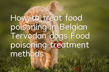 How to treat food poisoning in Belgian Tervodan dogs? Food poisoning treatment methods