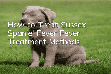 How to Treat Sussex Spaniel Fever Fever Treatment Methods