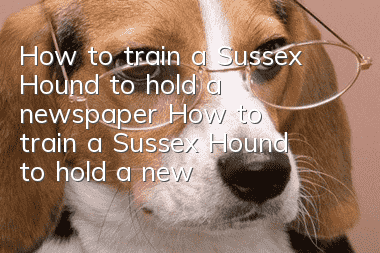 How to train a Sussex Hound to hold a newspaper? How to train a Sussex Hound to hold a newspaper?
