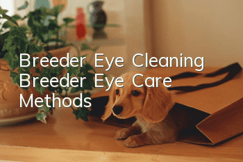 Breeder Eye Cleaning Breeder Eye Care Methods