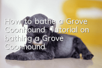 How to bathe a Grove Coonhound. Tutorial on bathing a Grove Coonhound.