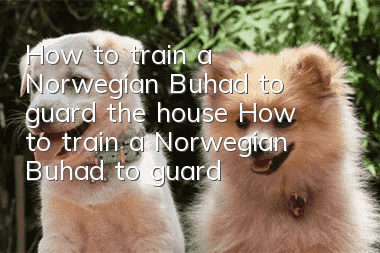 How to train a Norwegian Buhad to guard the house? How to train a Norwegian Buhad to guard the house?