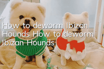 How to deworm Ibizan Hounds How to deworm Ibizan Hounds