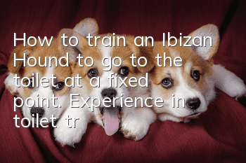 How to train an Ibizan Hound to go to the toilet at a fixed point. Experience in toilet training of an Ibizan Hound.