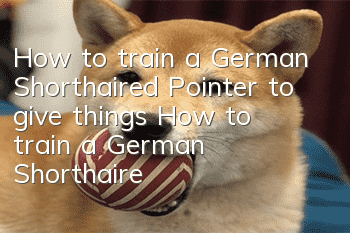 How to train a German Shorthaired Pointer to give things? How to train a German Shorthaired Pointer to give things?