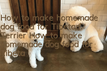 How to make homemade dog food for Tibetan Terrier How to make homemade dog food for Tibetan Terrier