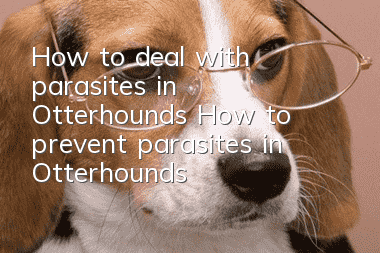 How to deal with parasites in Otterhounds? How to prevent parasites in Otterhounds?