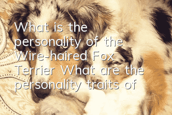 What is the personality of the Wire-haired Fox Terrier? What are the personality traits of the Wire-haired Fox Terrier?