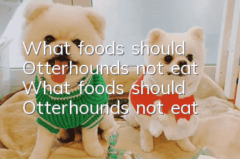 What foods should Otterhounds not eat? What foods should Otterhounds not eat?
