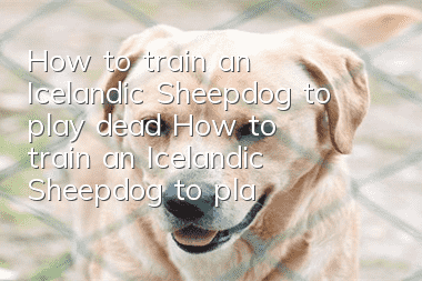 How to train an Icelandic Sheepdog to play dead? How to train an Icelandic Sheepdog to play dead?